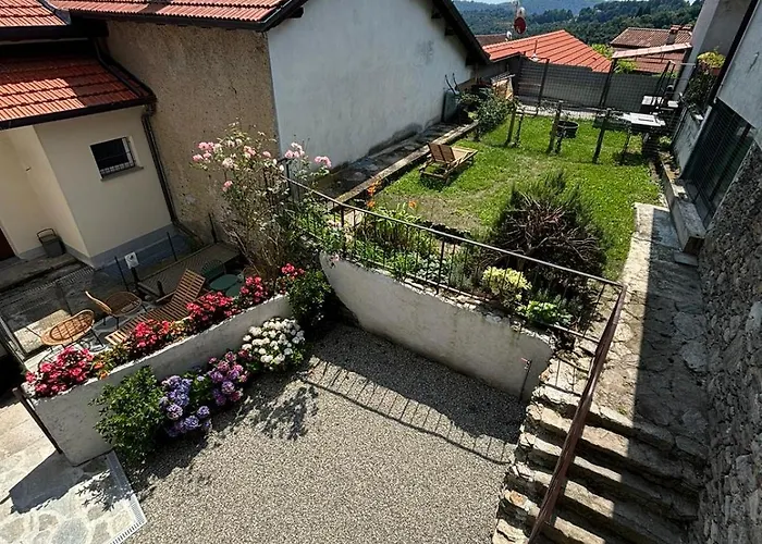 Levoasi 7